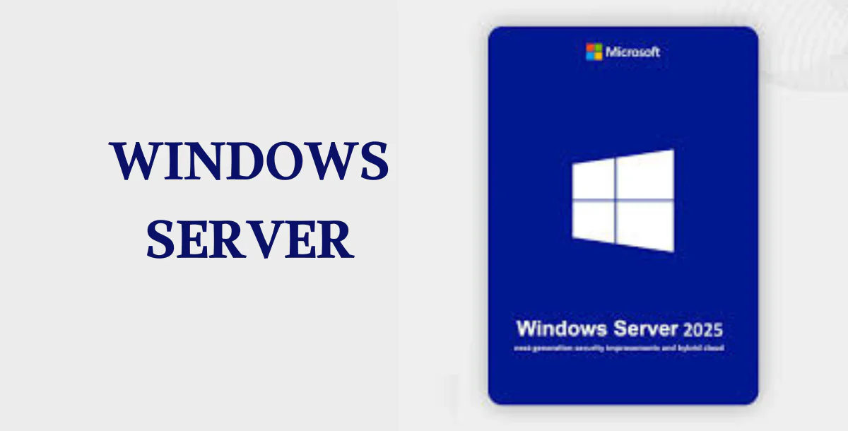 Windows Server 2025 Standard Lifetime Key